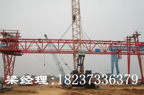 西藏拉薩龍門吊銷售廠家誠信服務質量保證