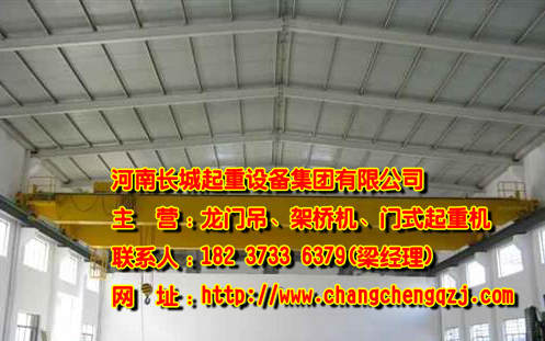 福建漳州雙梁門式起重機(jī)廠家介紹事故原因及預(yù)