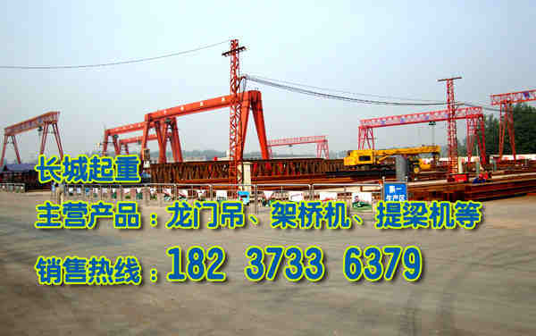 湖北武漢門式起重機(jī)廠家