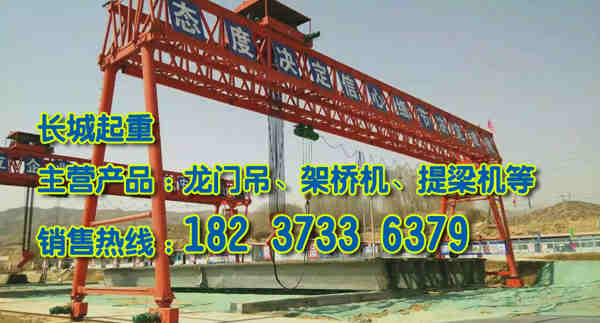 山東濟寧門式起重機廠家質量優服務周到