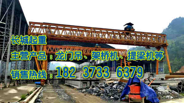 云南楚雄造船門式起重機(jī)失靈解決方法