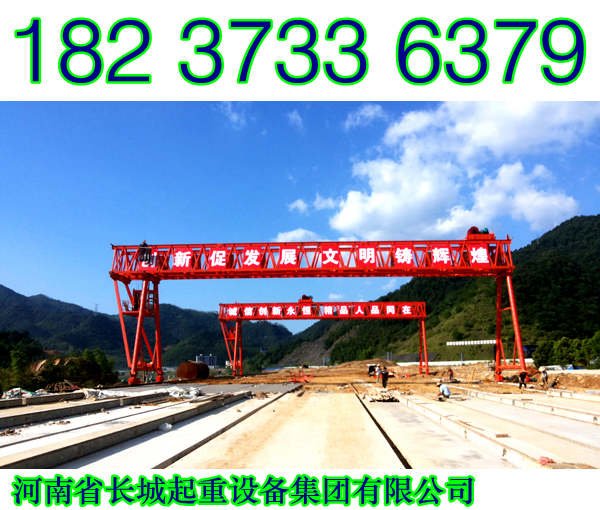 甘肅蘭州龍門吊廠家常用噸位及跨度