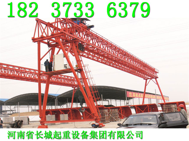 云南西雙版納龍門吊廠家國內知名起重